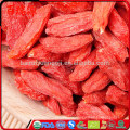 Trockenfrüchte Goji Beere Goji Beeren Protein Ningxia Wolfberry Goji Beere Diät